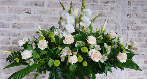 Linda palmatoria con flores blancas y follaje verde