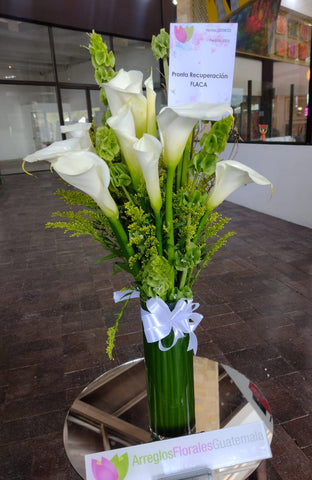 Cartuchos blancos y hojas verdes en un cilindro de cristal