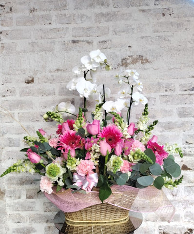 Orquídeas de Amor para conquistar, con Rosas y Gerberas Mediano