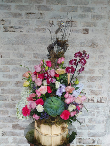 Orquideas en corteza