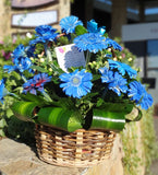 Canasta con Gerberas Azules