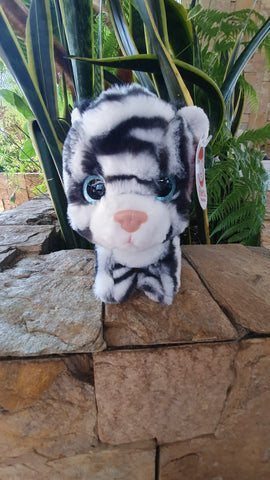 Gatito de Peluche