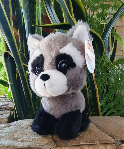 Mapache de ojos Coquetos