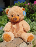 Oso de peluche Teddy