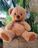 Oso de peluche Teddy