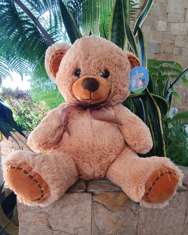 Oso de peluche Teddy
