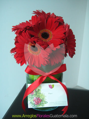 Gerberas Enamoradas