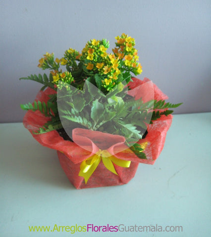 Maseta de Flores