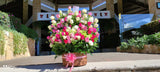 Sensible Amor con Rosas
