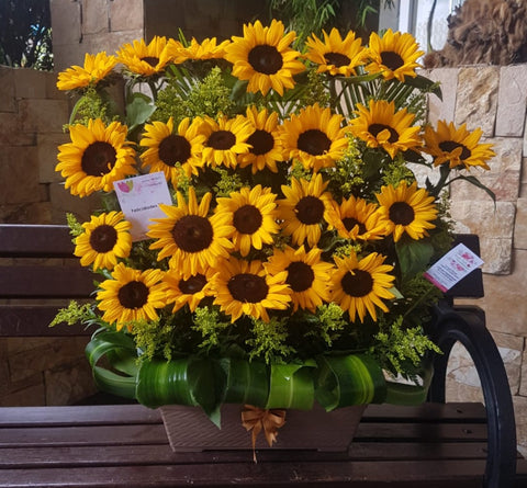 Jardín de Girasoles
