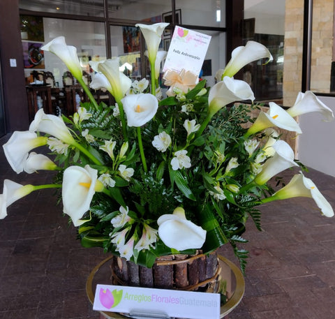 Canasta de Cartuchos