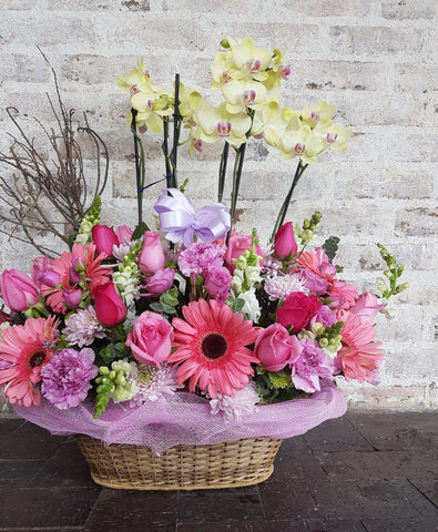 Orquídeas de Amor para conquistar