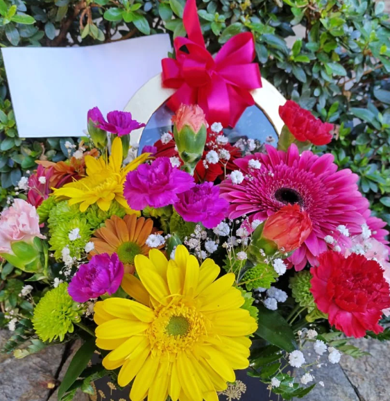 Gerberas : El regalo perfecto