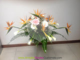 Preciosa palmatoria con flores blancas, anaranjadas y follajes verdes.