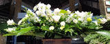 Palmatoria premium, hecha con variedad de flores naturales blancas y follaje verde.