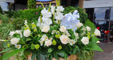 Palmatorias con lindas flores blancas y follajes verdes