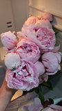 Ramo de Flores Peonias VIP