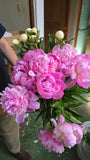 Ramo de Flores Peonias VIP