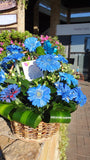 Canasta con Gerberas Azules