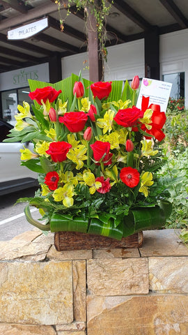 Tulipanes por docena