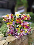 5F Números de Flores
