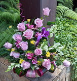 Jardín de Colores Lila