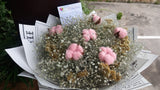 Ramo de Flores de Algodón