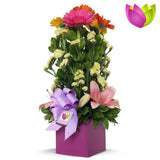 Mini Maceta de Gerberas
