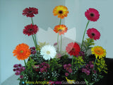 Conjunto Primavera
