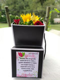 Box of Love