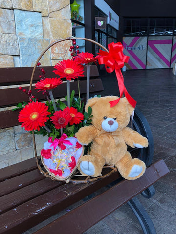 Violetera de Amor con Peluche y Chocolates – Arreglos Florales