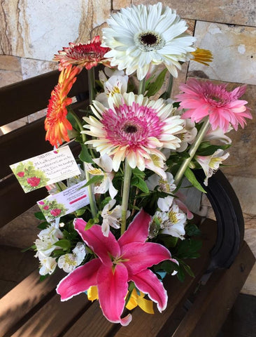 Mini Maceta de Gerberas